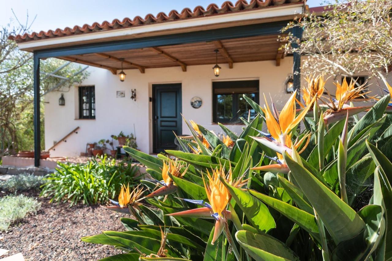 Live La Laguna Casita Vieja Exterior photo